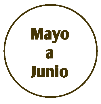 Botonmayojunio